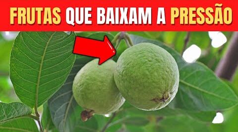 Baixar a Pressão