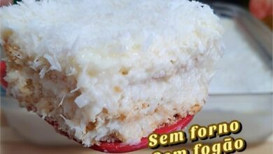 NÃO VAI AO FOGO, FÁCIL É SÓ MISTURAR! SOBREMESA DE COCO DELICIOSA!